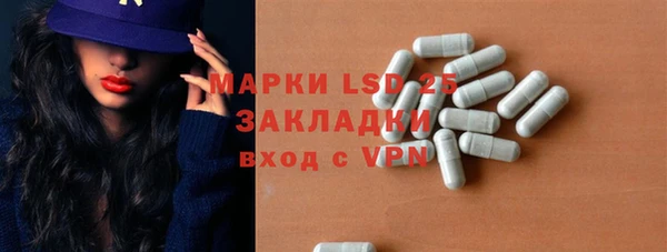 стаф Сосновка