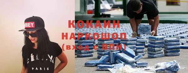 стаф Сосновка