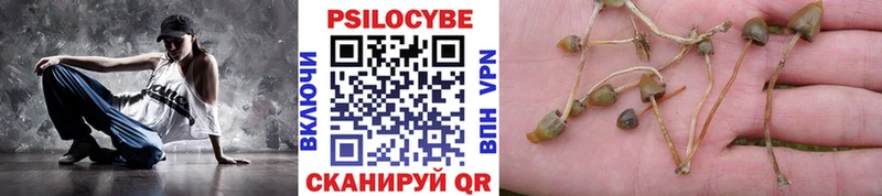 Купить закладки  Новокузнецк  Галлюциногенные грибы GOLDEN TEACHER 